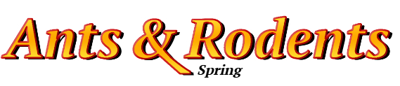 Spring Ant Exterminator & Rodent Control Company Logo